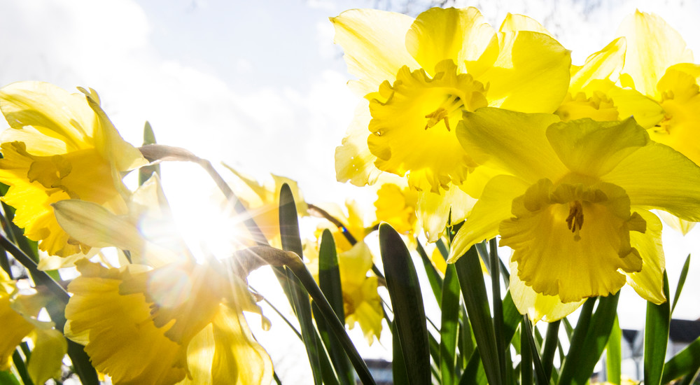 Danskerne: Vi er for dårlige til at tilgive